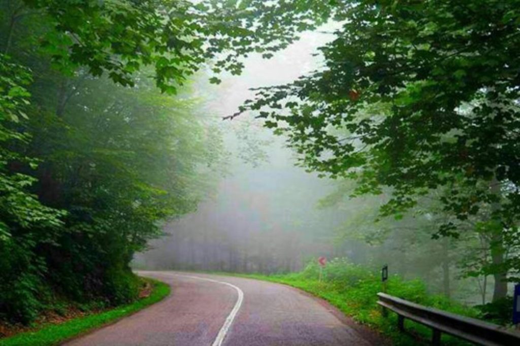 جاده جنگلی عباس آباد