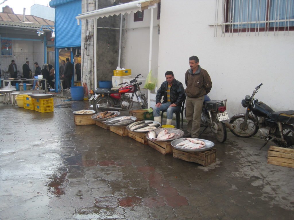 بازار ماهی فروشان بندر کیاشهر