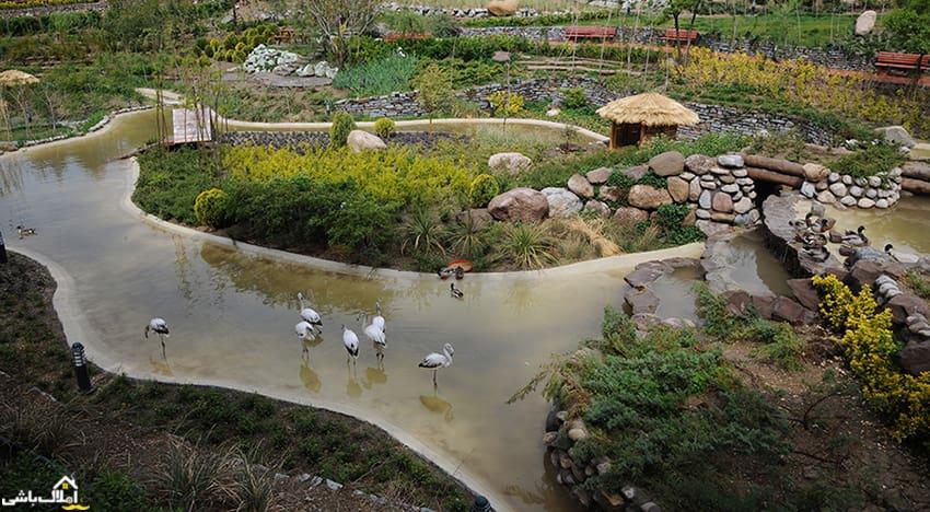 بازدید از پارک باغ پرندگان؛ زیباترین تفریح در تعطیلات